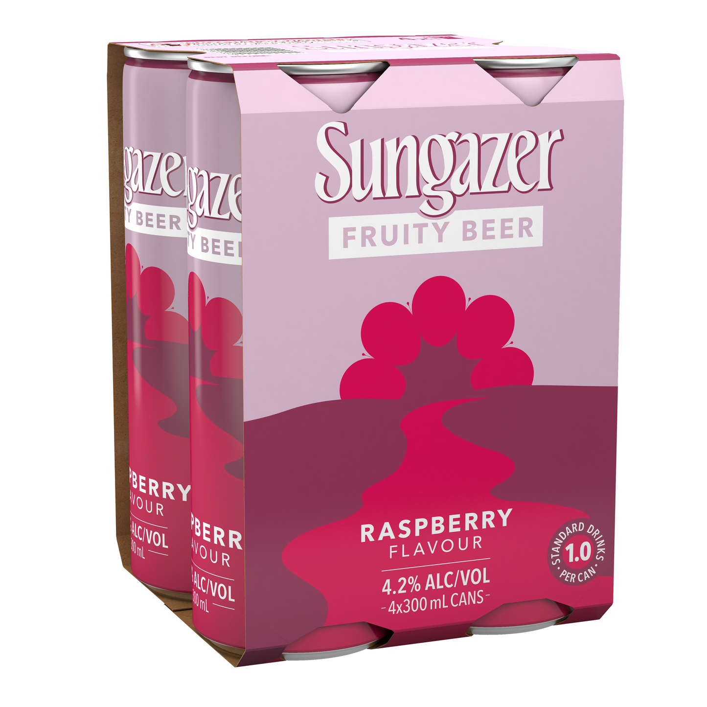 Sungazer Fruity Beer Raspberry 4x300mL can